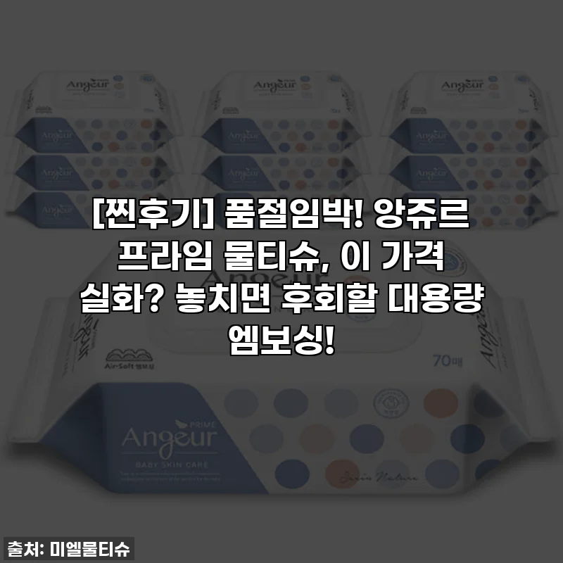 [찐후기] 품절임박! 앙쥬르 프라임 물티슈, 이 가격 실화? 놓치면 후회할 대용량 엠보싱!