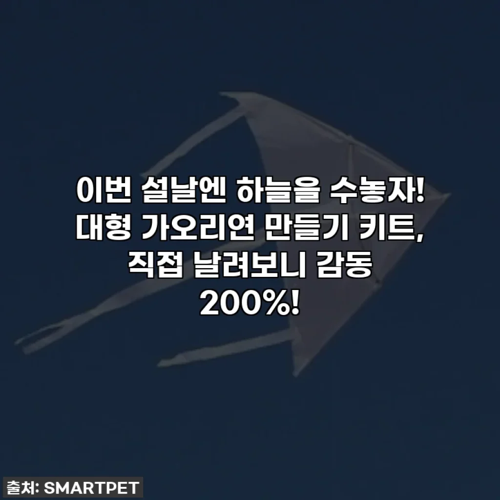 이번 설날엔 하늘을 수놓자! 대형 가오리연 만들기 키트, 직접 날려보니 감동 200%!
