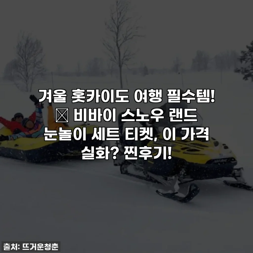 겨울 홋카이도 여행 필수템! 🌟 비바이 스노우 랜드 눈놀이 세트 티켓, 이 가격 실화? 찐후기!