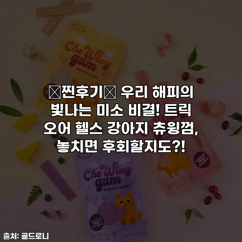 🎃찐후기🎃 우리 해피의 빛나는 미소 비결! 트릭 오어 헬스 강아지 츄윙껌, 놓치면 후회할지도?!