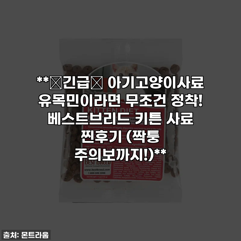 **🚨긴급🚨 아기고양이사료 유목민이라면 무조건 정착! 베스트브리드 키튼 사료 찐후기 (짝퉁 주의보까지!)**