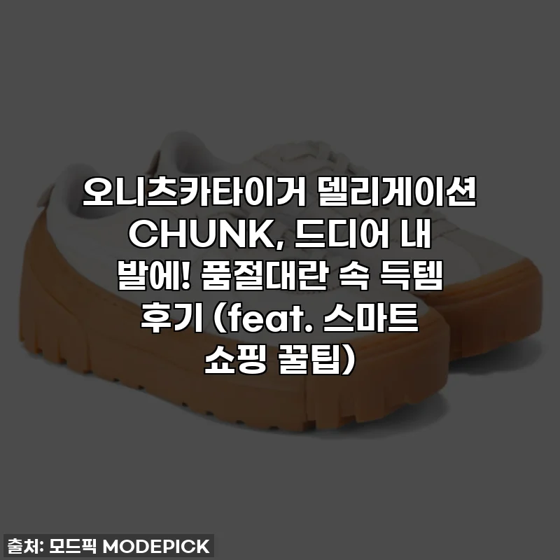 오니츠카타이거 델리게이션 CHUNK, 드디어 내 발에! 품절대란 속 득템 후기 (feat. 스마트 쇼핑 꿀팁)
