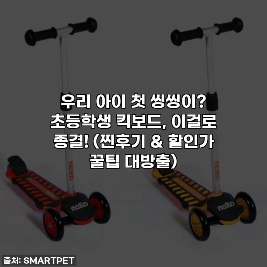 우리 아이 첫 씽씽이? 초등학생 킥보드, 이걸로 종결! (찐후기 & 할인가 꿀팁 대방출)