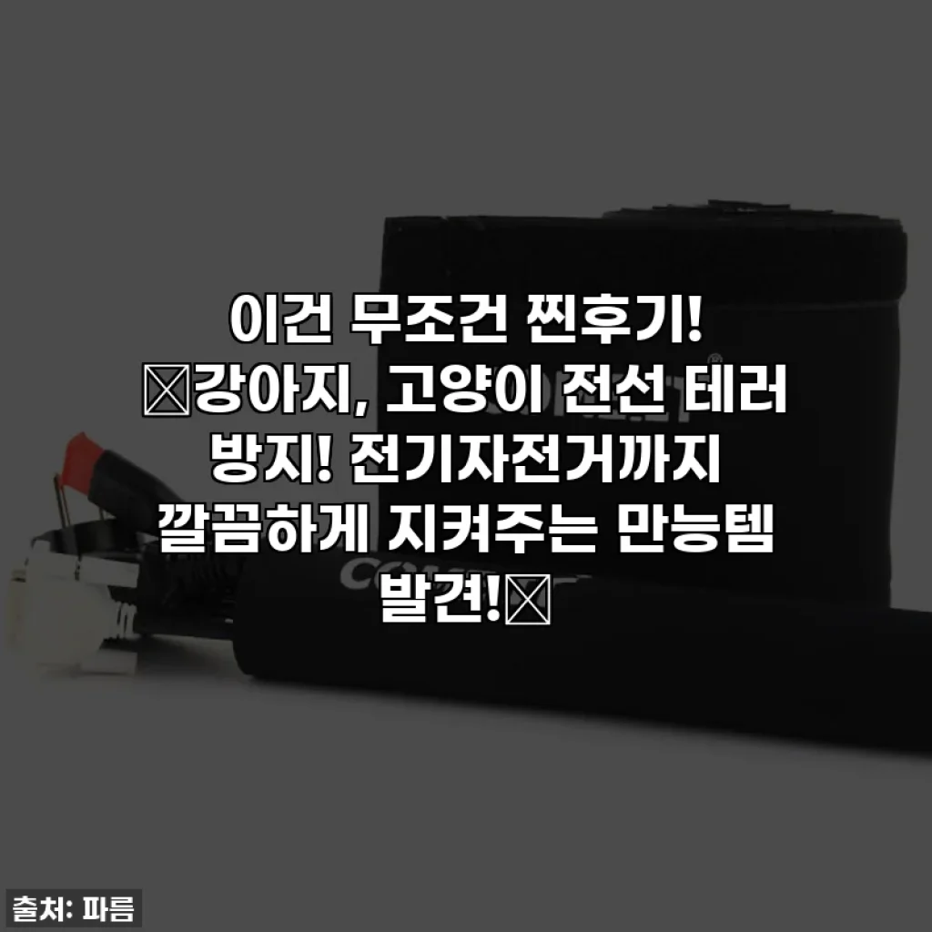 이건 무조건 찐후기! 🚨강아지, 고양이 전선 테러 방지! 전기자전거까지 깔끔하게 지켜주는 만능템 발견!🚨