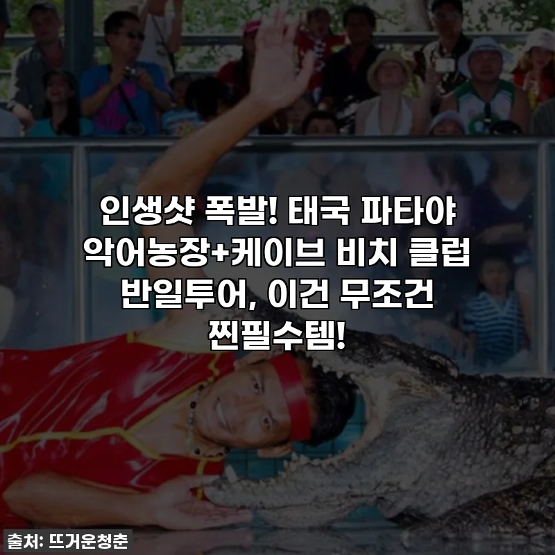 인생샷 폭발! 태국 파타야 악어농장+케이브 비치 클럽 반일투어, 이건 무조건 찐필수템!