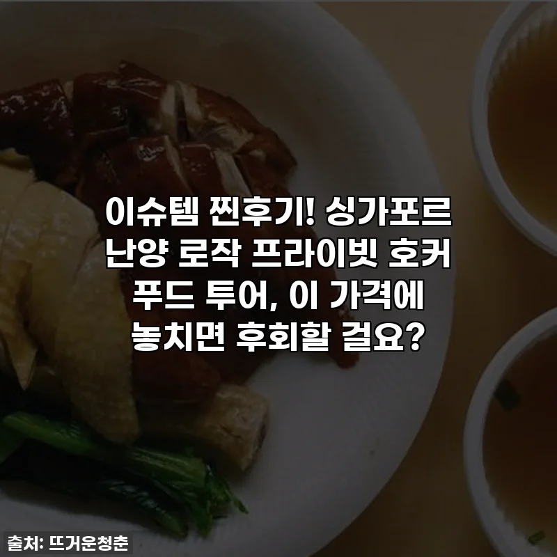 이슈템 찐후기! 싱가포르 난양 로작 프라이빗 호커 푸드 투어, 이 가격에 놓치면 후회할 걸요?