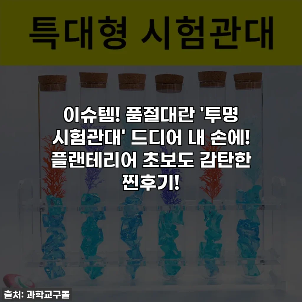 이슈템! 품절대란 '투명 시험관대' 드디어 내 손에! 플랜테리어 초보도 감탄한 찐후기!