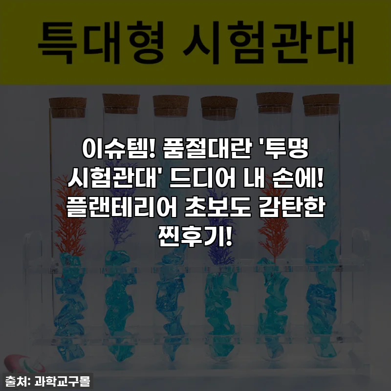 이슈템! 품절대란 '투명 시험관대' 드디어 내 손에! 플랜테리어 초보도 감탄한 찐후기!