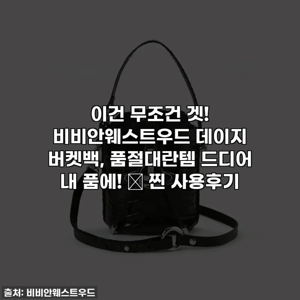 이건 무조건 겟! 비비안웨스트우드 데이지 버켓백, 품절대란템 드디어 내 품에! ✨ 찐 사용후기