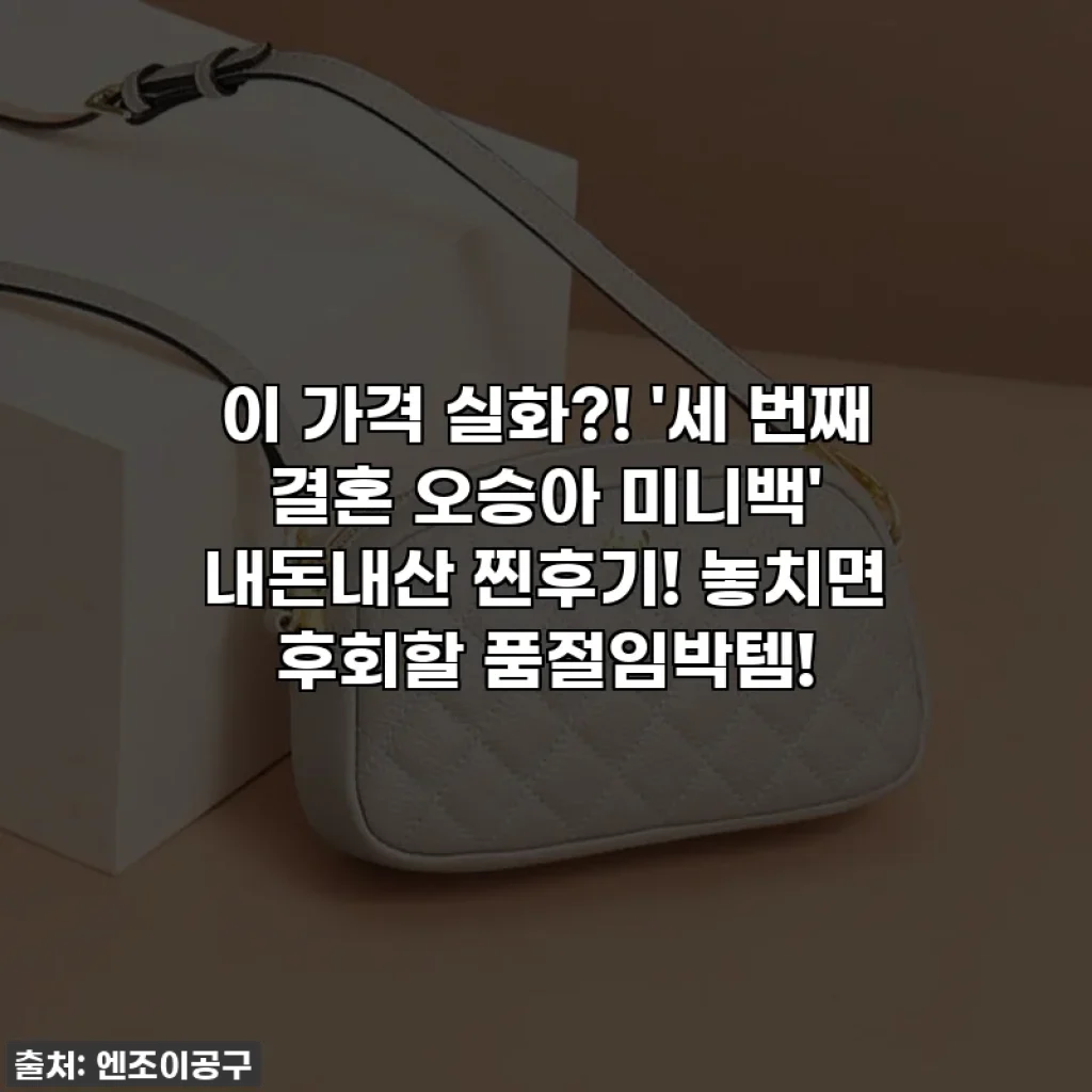 이 가격 실화?! '세 번째 결혼 오승아 미니백' 내돈내산 찐후기! 놓치면 후회할 품절임박템!