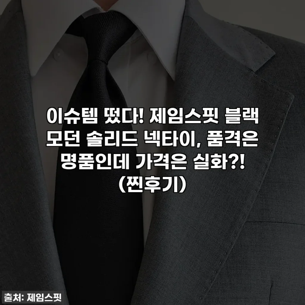 이슈템 떴다! 제임스핏 블랙 모던 솔리드 넥타이, 품격은 명품인데 가격은 실화?! (찐후기)