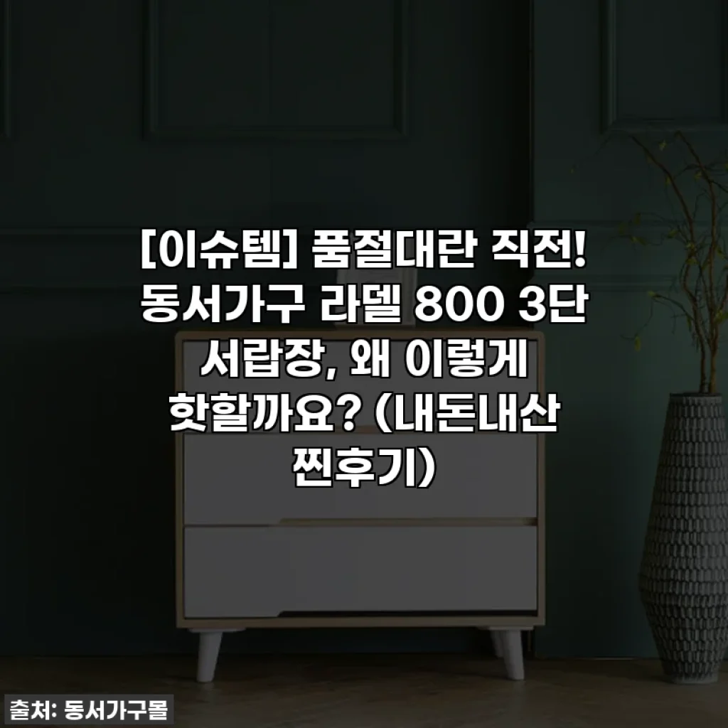 [이슈템] 품절대란 직전! 동서가구 라델 800 3단 서랍장, 왜 이렇게 핫할까요? (내돈내산 찐후기)