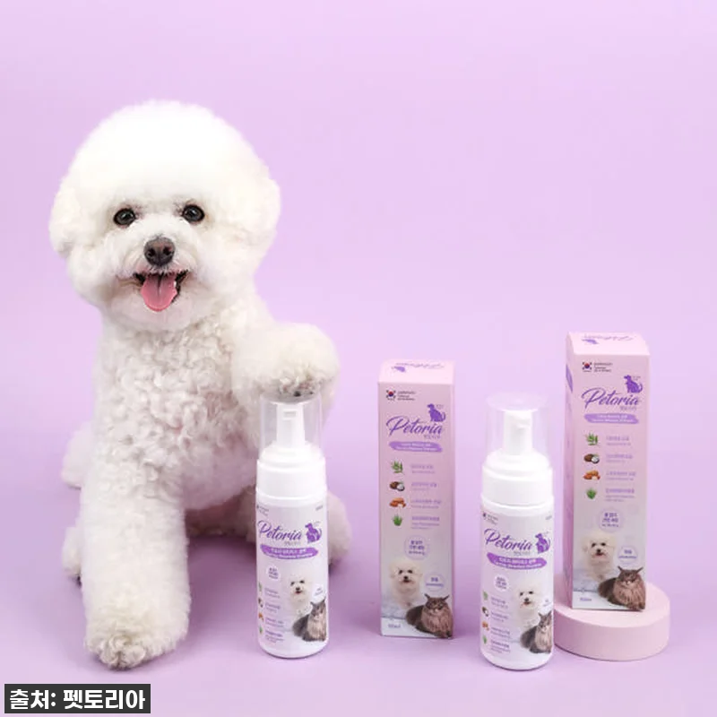 냥이&댕댕이 집사님들 주목! 펫토리아 관련 이미지 3