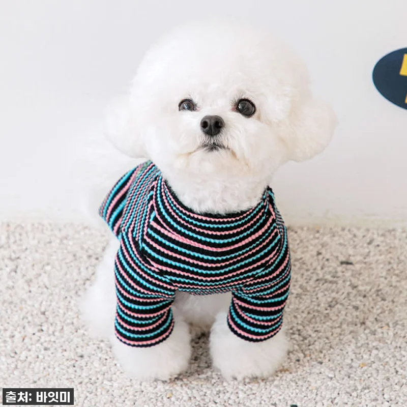 찐후기! 품절대란 예감! 바잇미 스트 관련 이미지 3