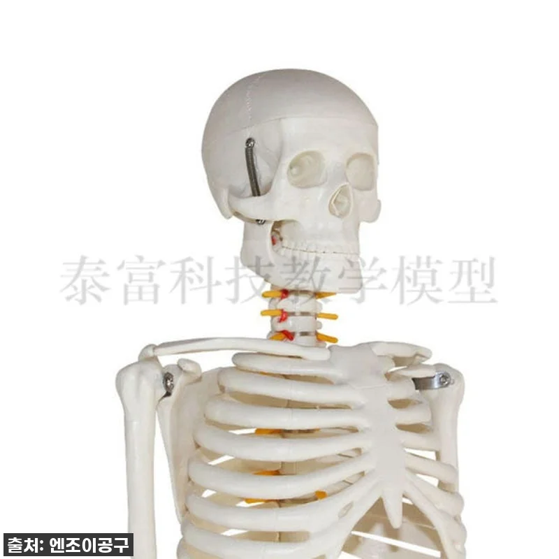와! 이 가격 실화? 필라테스 강사 관련 이미지 3