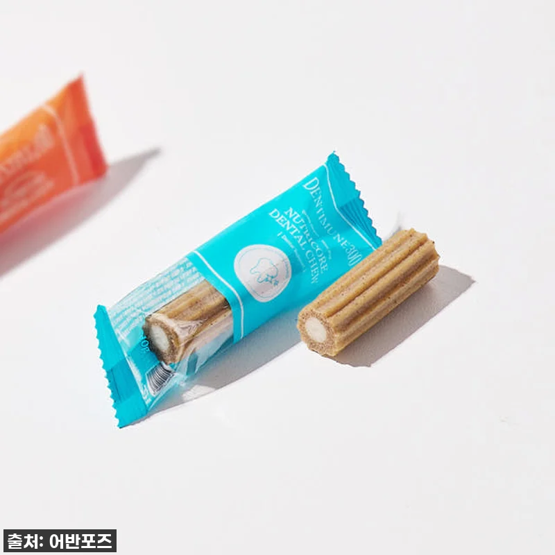 우리 댕댕이 치아 관리, 이젠 걱정 관련 이미지 3