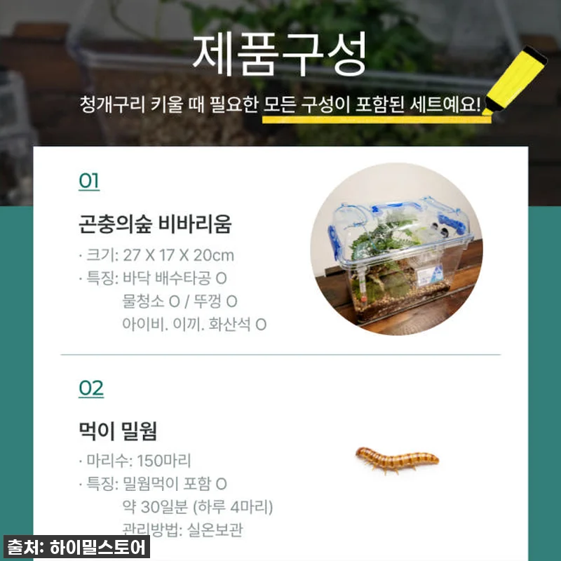 🐸찐후기! 하이밀 청개구리 키우기 풀 관련 이미지 4