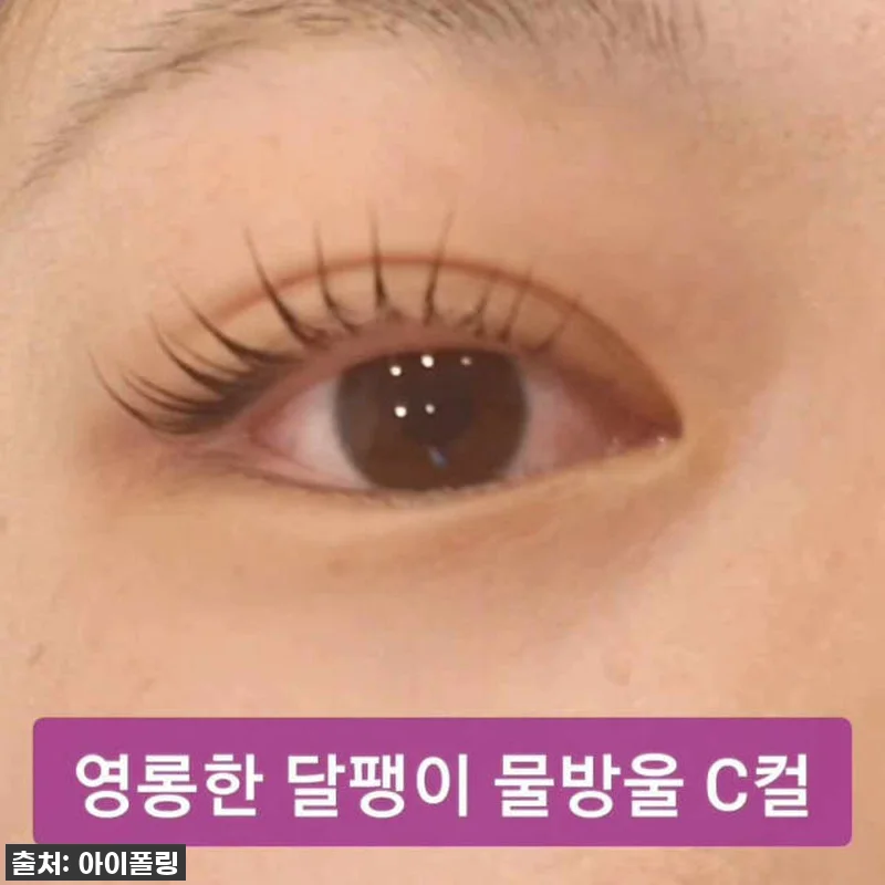 이건 무조건 사야 해! 스노우 달팽이 관련 이미지 5