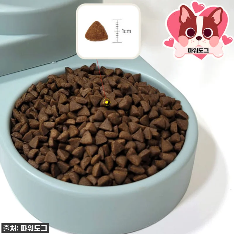 노령견 노견사료 말랑한 부드러운 강아 관련 이미지 7