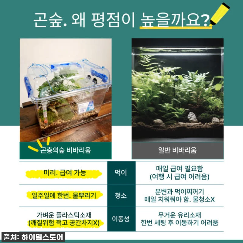 🐸찐후기! 하이밀 청개구리 키우기 풀 관련 이미지 7