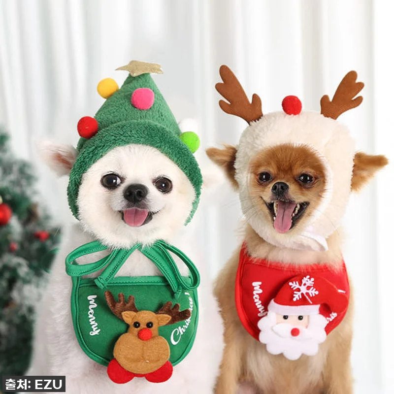🚨품절임박🚨 할로윈 코스튬? 우리 댕 관련 이미지 9