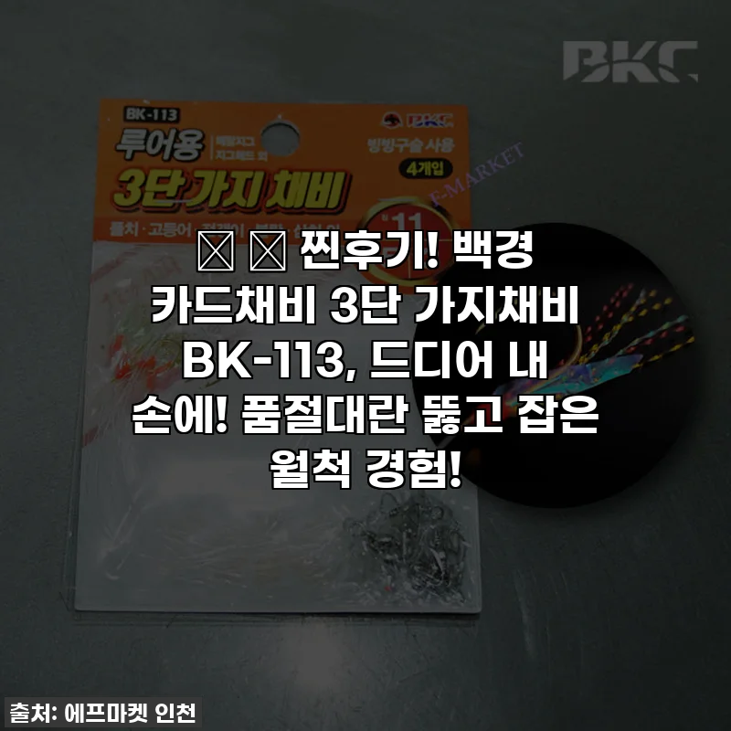 🎣 ✨ 찐후기! 백경 카드채비 3단 가지채비 BK-113, 드디어 내 손에! 품절대란 뚫고 잡은 월척 경험!