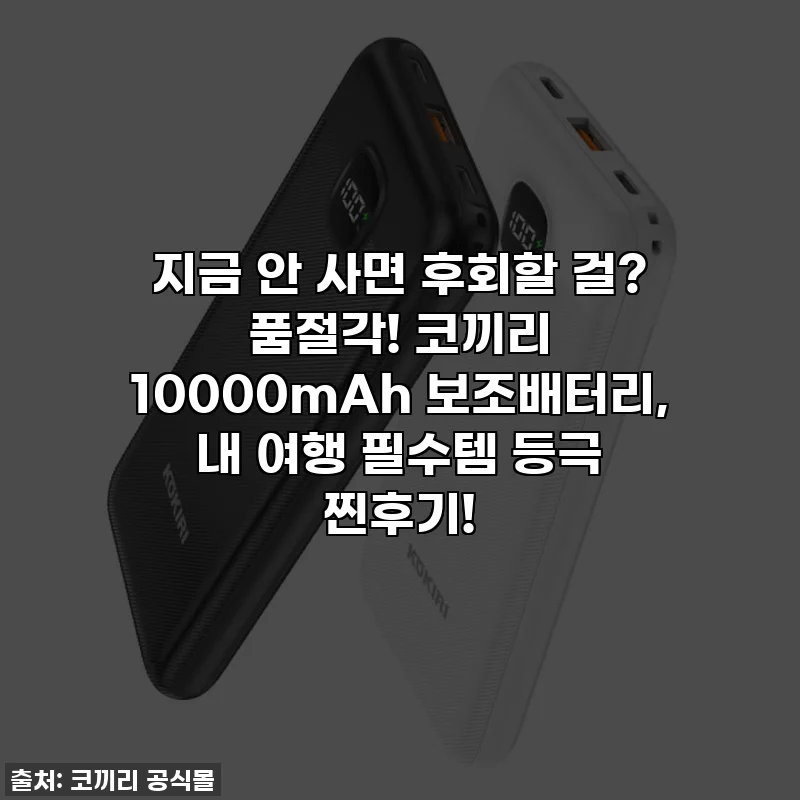 지금 안 사면 후회할 걸? 품절각! 코끼리 10000mAh 보조배터리, 내 여행 필수템 등극 찐후기!