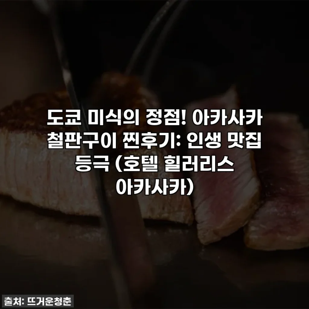 도쿄 미식의 정점! 아카사카 철판구이 찐후기: 인생 맛집 등극 (호텔 힐러리스 아카사카)