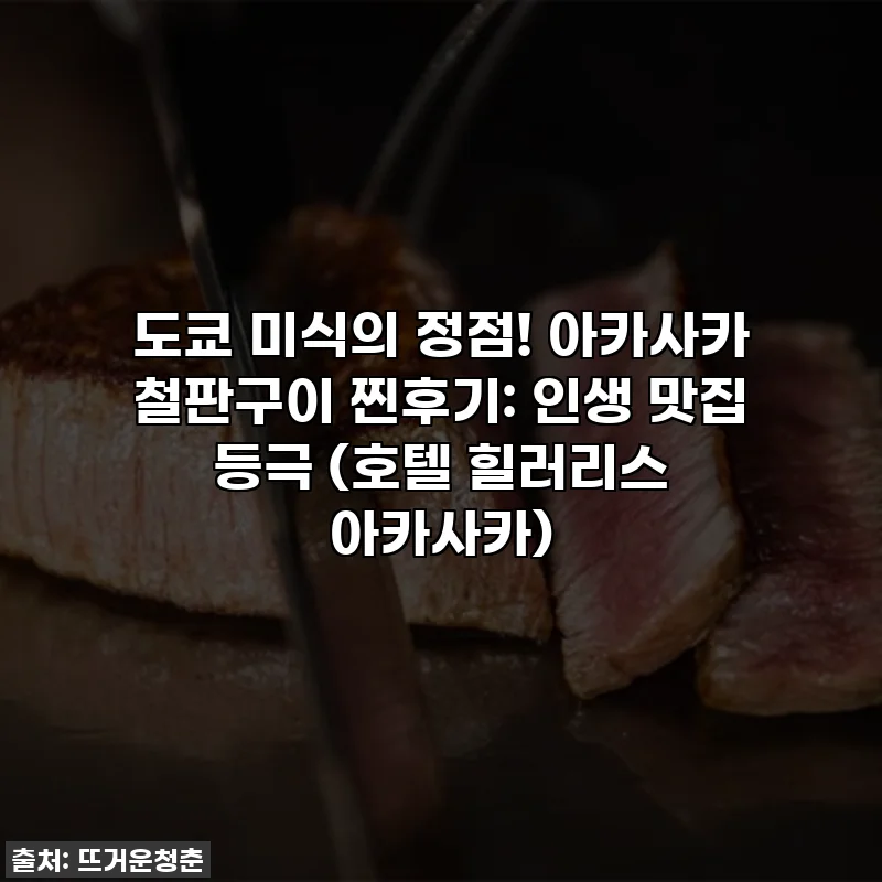 도쿄 미식의 정점! 아카사카 철판구이 찐후기: 인생 맛집 등극 (호텔 힐러리스 아카사카)