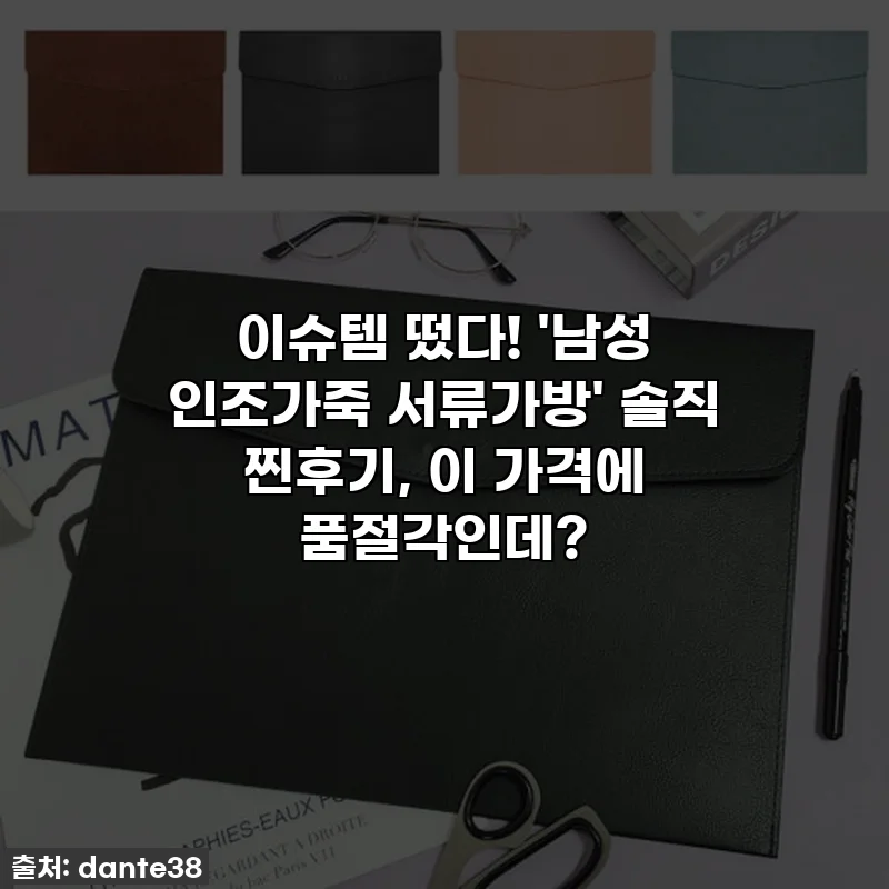 이슈템 떴다! '남성 인조가죽 서류가방' 솔직 찐후기, 이 가격에 품절각인데?