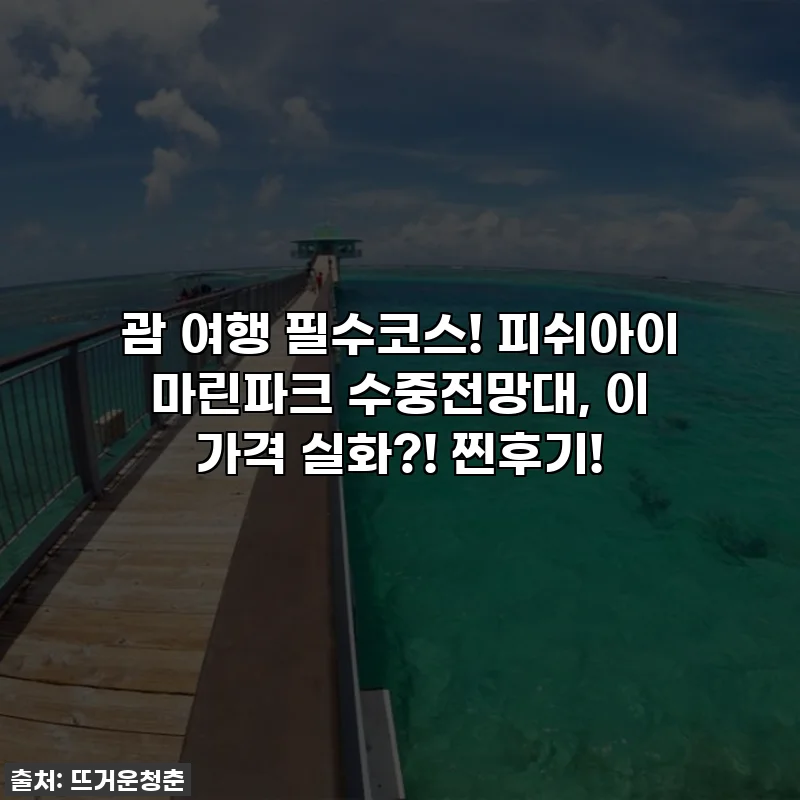 괌 여행 필수코스! 피쉬아이 마린파크 수중전망대, 이 가격 실화?! 찐후기!