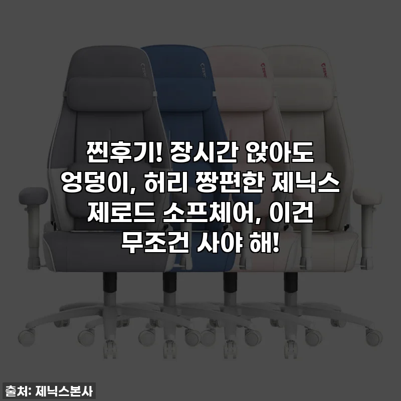 찐후기! 장시간 앉아도 엉덩이, 허리 짱편한 제닉스 제로드 소프체어, 이건 무조건 사야 해!