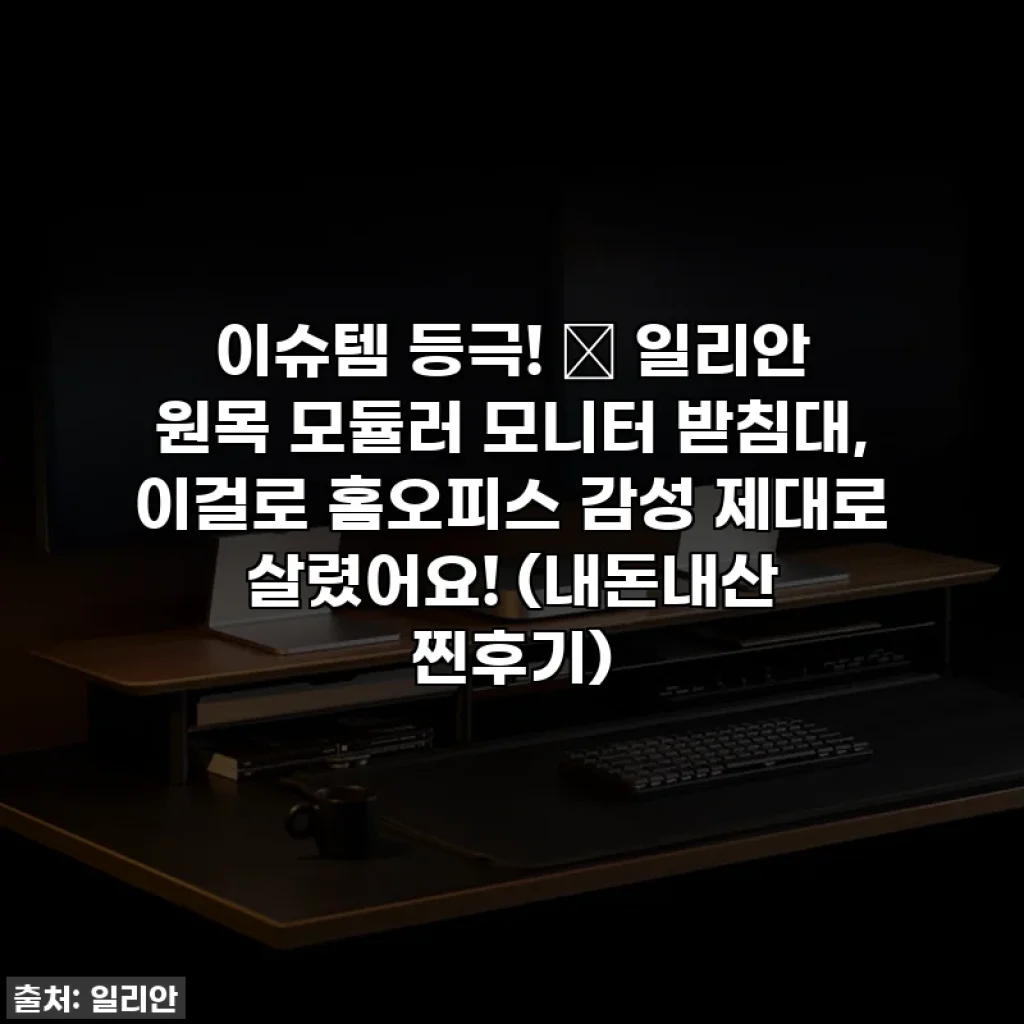 이슈템 등극! 🌿 일리안 원목 모듈러 모니터 받침대, 이걸로 홈오피스 감성 제대로 살렸어요! (내돈내산 찐후기)