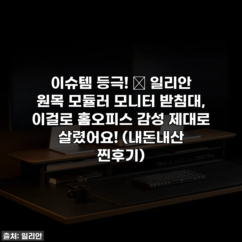 이슈템 등극! 🌿 일리안 원목 모듈러 모니터 받침대, 이걸로 홈오피스 감성 제대로 살렸어요! (내돈내산 찐후기)