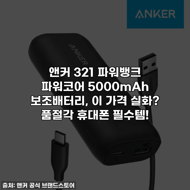 앤커 321 파워뱅크 파워코어 5000mAh 보조배터리, 이 가격 실화? 품절각 휴대폰 필수템!