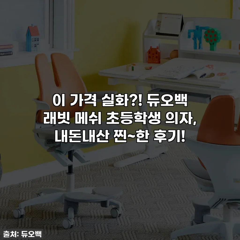 이 가격 실화?! 듀오백 래빗 메쉬 초등학생 의자, 내돈내산 찐~한 후기!