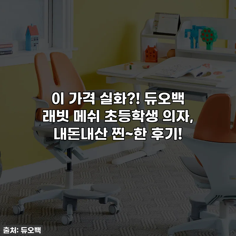 이 가격 실화?! 듀오백 래빗 메쉬 초등학생 의자, 내돈내산 찐~한 후기!