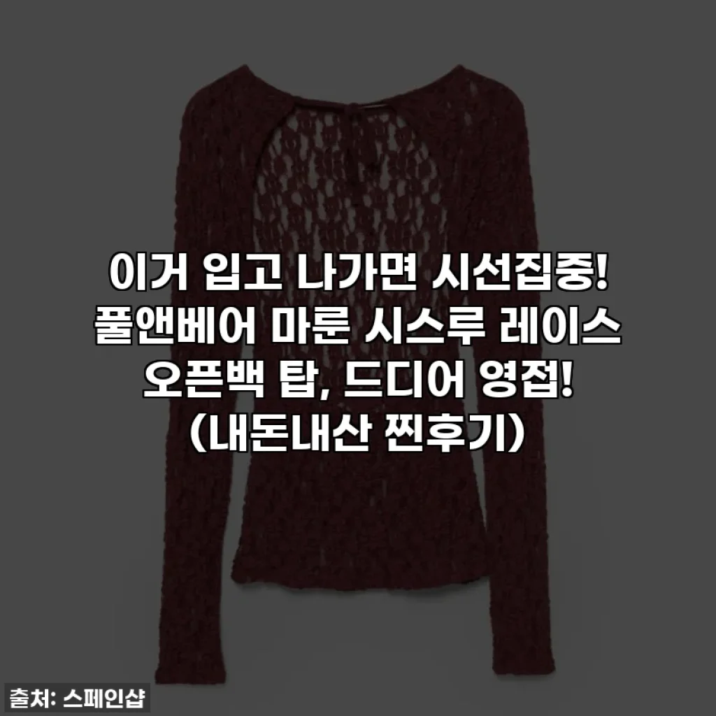 이거 입고 나가면 시선집중! 풀앤베어 마룬 시스루 레이스 오픈백 탑, 드디어 영접! (내돈내산 찐후기)