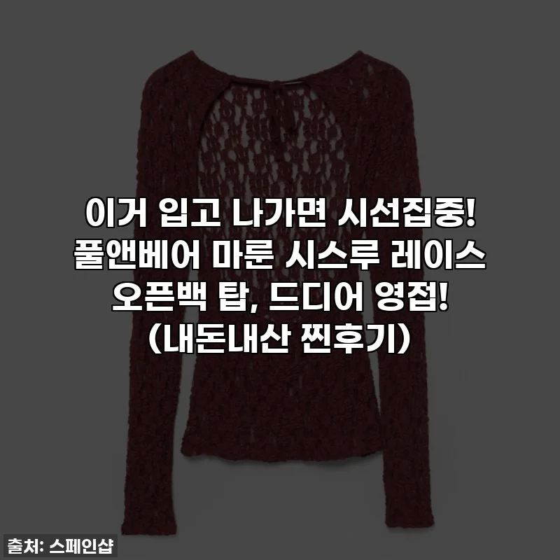 이거 입고 나가면 시선집중! 풀앤베어 마룬 시스루 레이스 오픈백 탑, 드디어 영접! (내돈내산 찐후기)