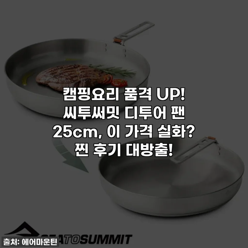 캠핑요리 품격 UP! 씨투써밋 디투어 팬 25cm, 이 가격 실화? 찐 후기 대방출!