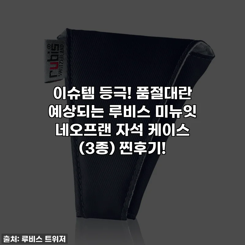 이슈템 등극! 품절대란 예상되는 루비스 미뉴잇 네오프랜 자석 케이스 (3종) 찐후기!
