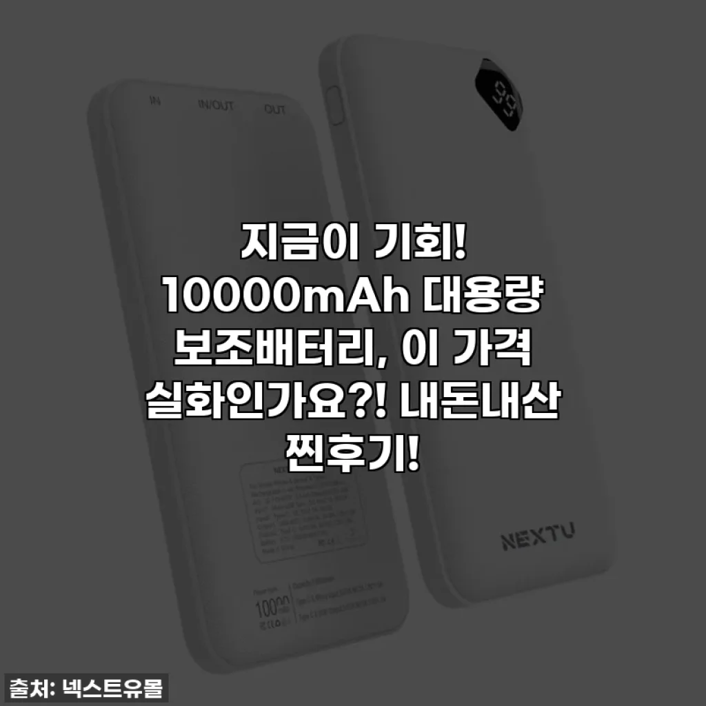 지금이 기회! 10000mAh 대용량 보조배터리, 이 가격 실화인가요?! 내돈내산 찐후기!
