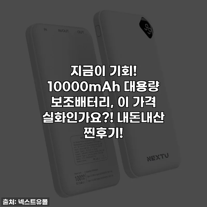 지금이 기회! 10000mAh 대용량 보조배터리, 이 가격 실화인가요?! 내돈내산 찐후기!