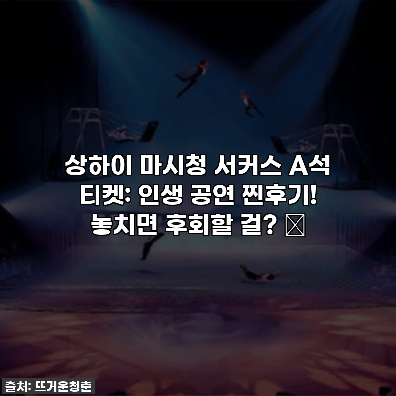 상하이 마시청 서커스 A석 티켓: 인생 공연 찐후기! 놓치면 후회할 걸? ✨