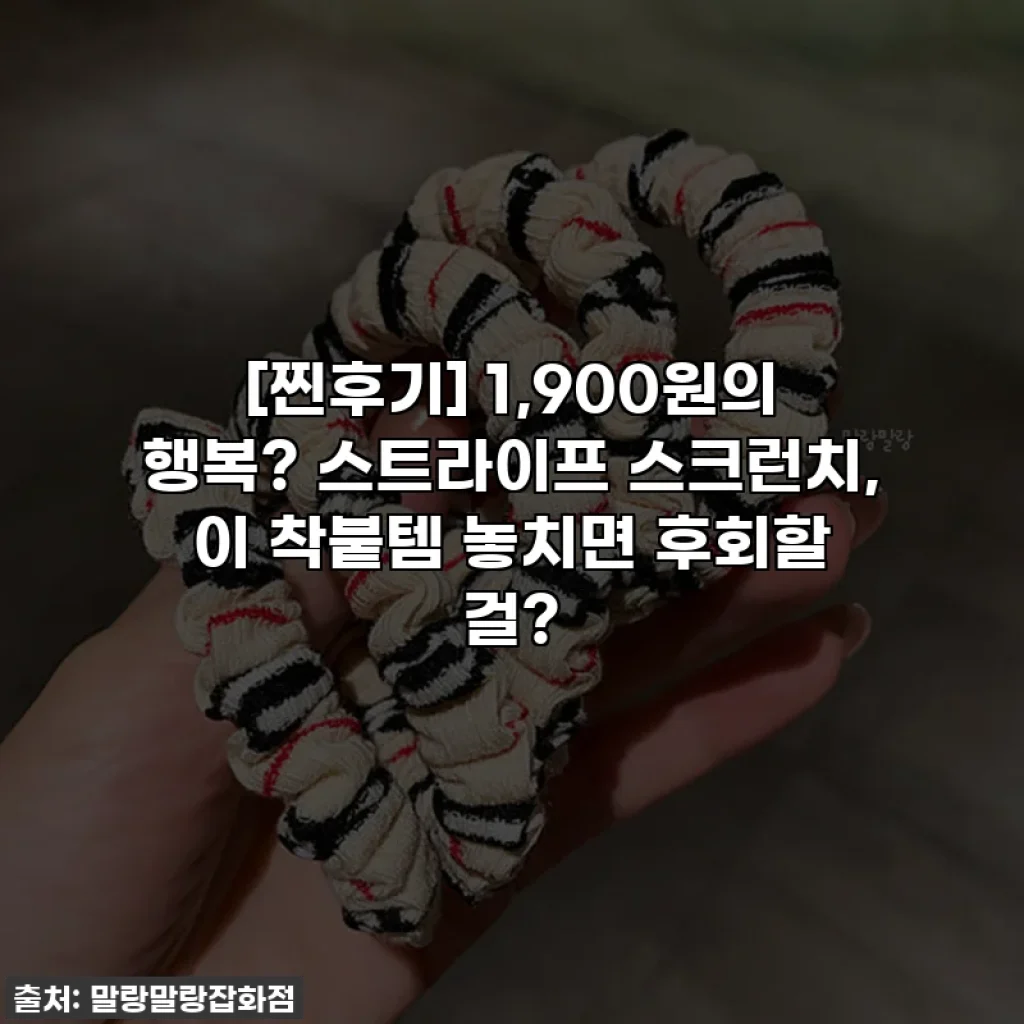 [찐후기] 1,900원의 행복? 스트라이프 스크런치, 이 착붙템 놓치면 후회할 걸?