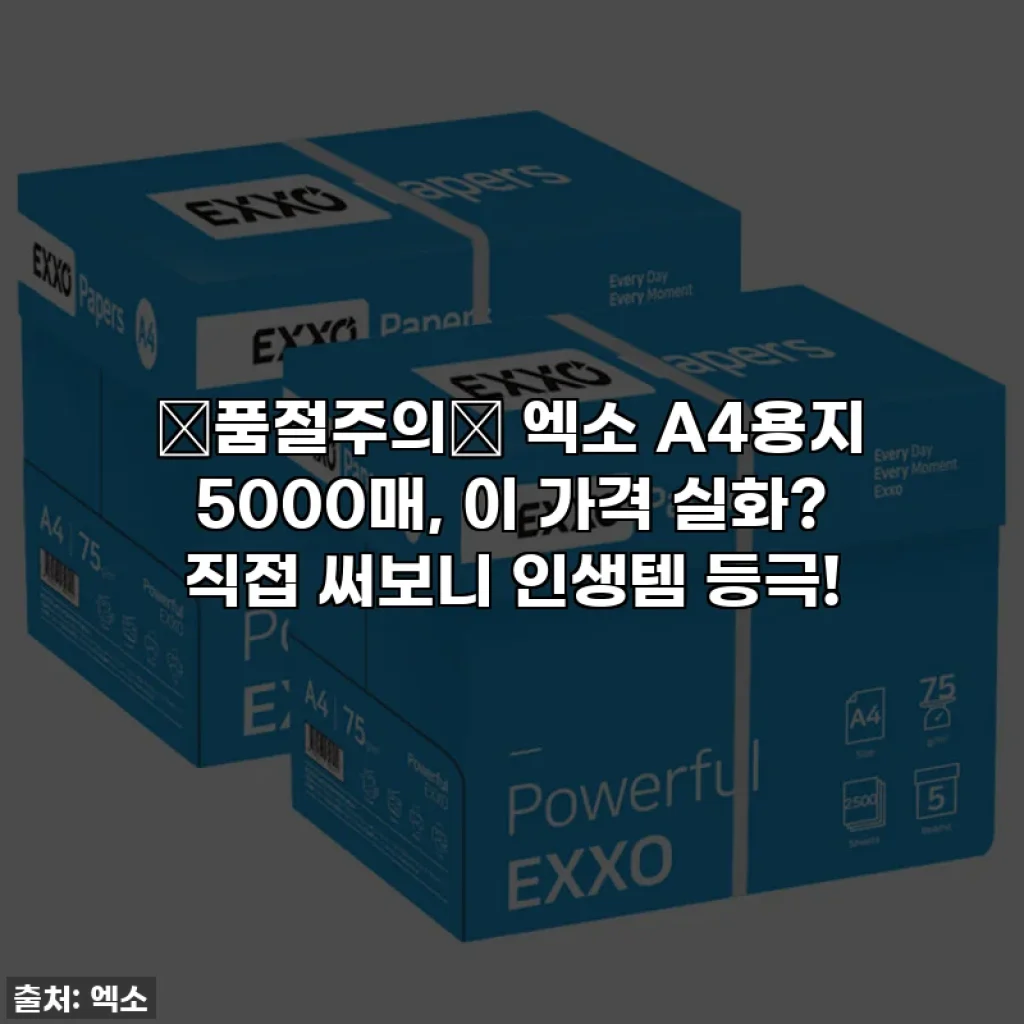 ✨품절주의✨ 엑소 A4용지 5000매, 이 가격 실화? 직접 써보니 인생템 등극!