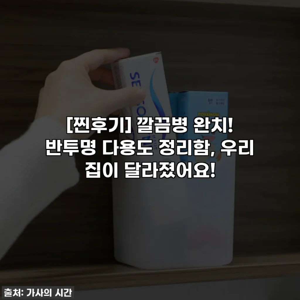 [찐후기] 깔끔병 완치! 반투명 다용도 정리함, 우리 집이 달라졌어요!