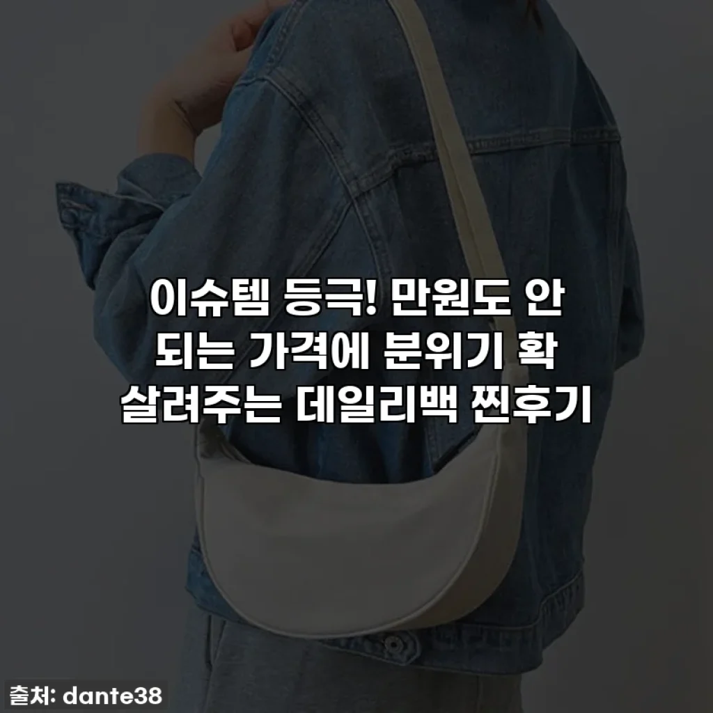 이슈템 등극! 만원도 안 되는 가격에 분위기 확 살려주는 데일리백 찐후기