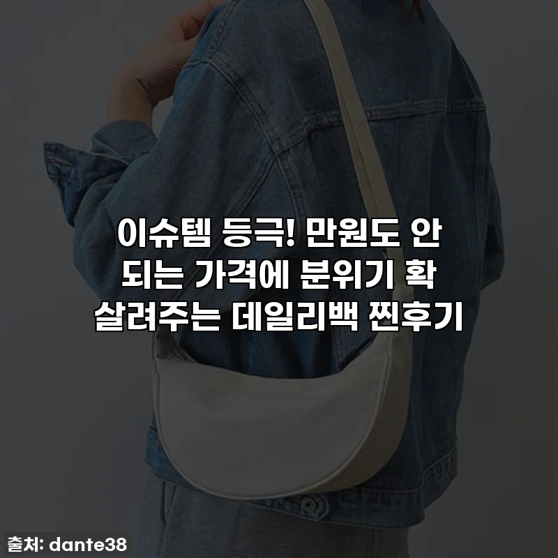 이슈템 등극! 만원도 안 되는 가격에 분위기 확 살려주는 데일리백 찐후기