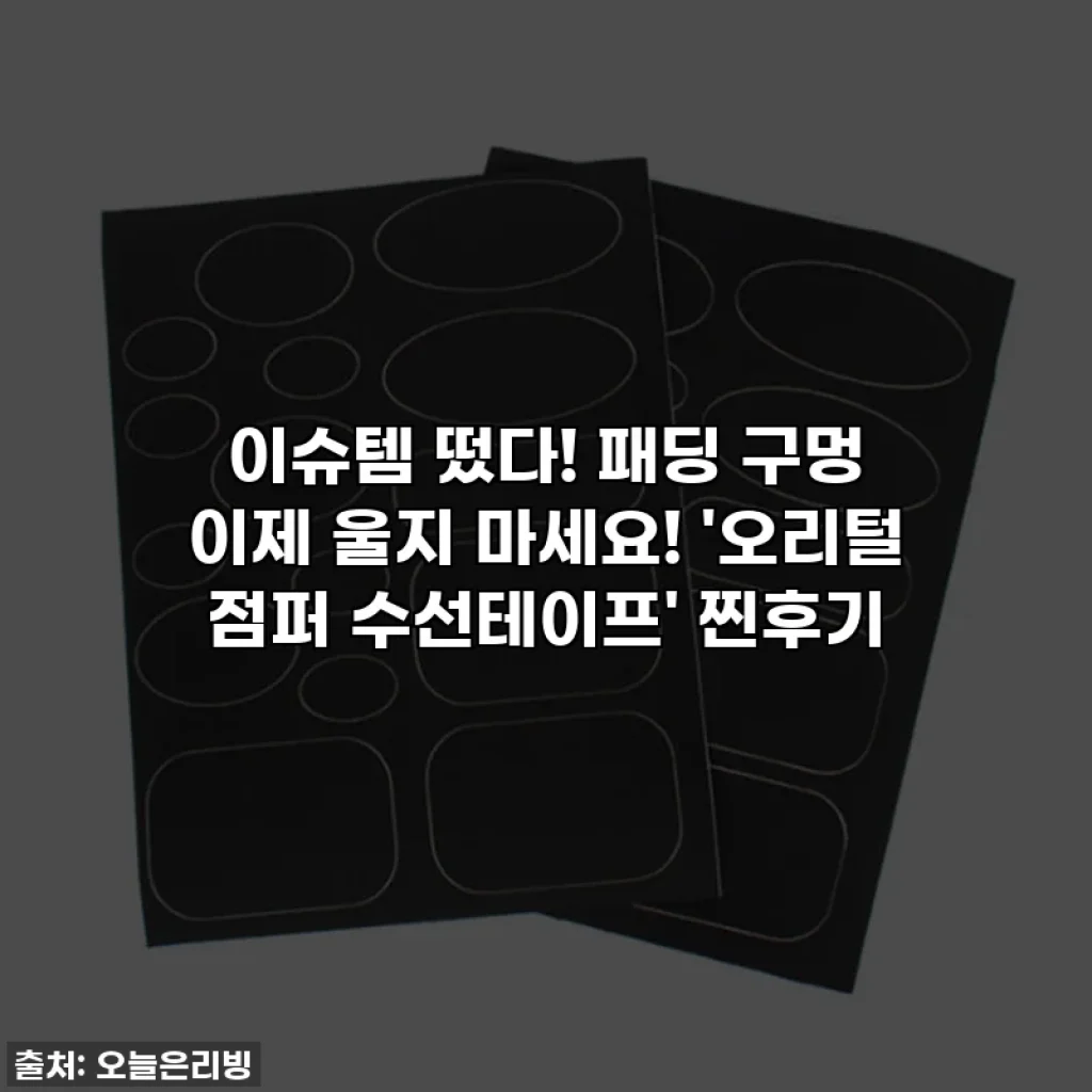 이슈템 떴다! 패딩 구멍 이제 울지 마세요! '오리털 점퍼 수선테이프' 찐후기